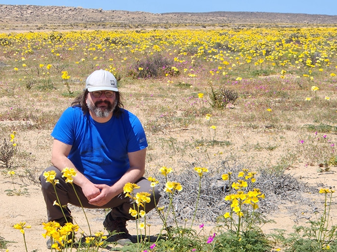 A man crouches in the desert surrounded by plants with yellow flowers